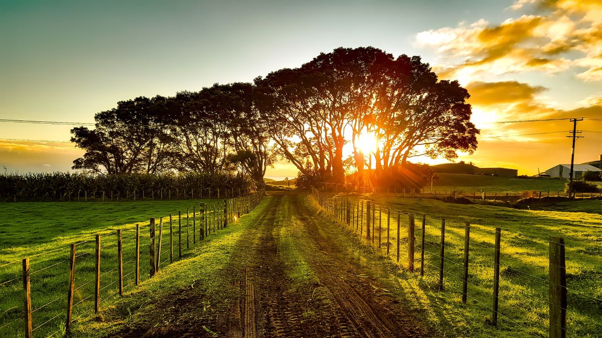 new zealand g1af6aeec9 1920 geaendert - ☀️ Solar und Photovoltaik für Pforzheim